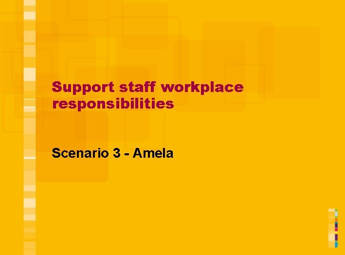 Support staff workplace responsibilities Scenario 3 - Amela 