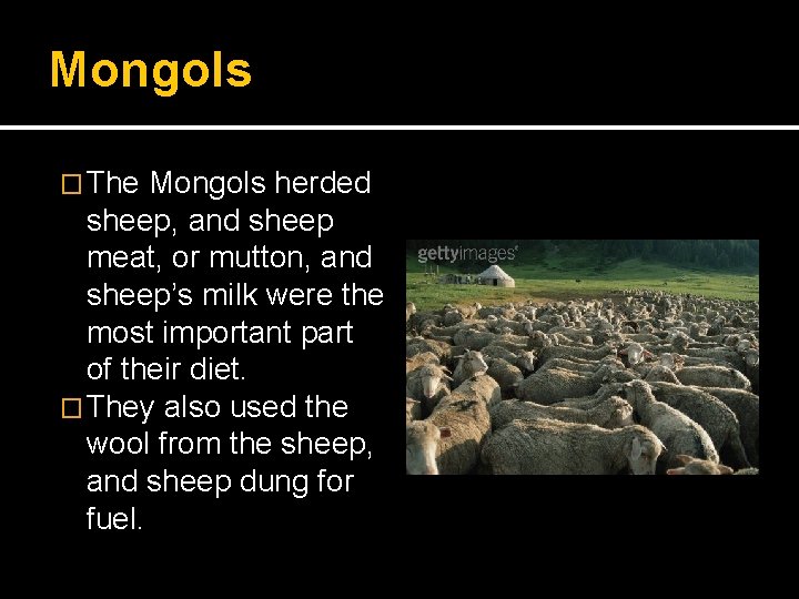 Mongols � The Mongols herded sheep, and sheep meat, or mutton, and sheep’s milk