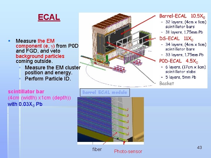 ECAL § Measure the EM component (e, g) from P 0 D and FGD,