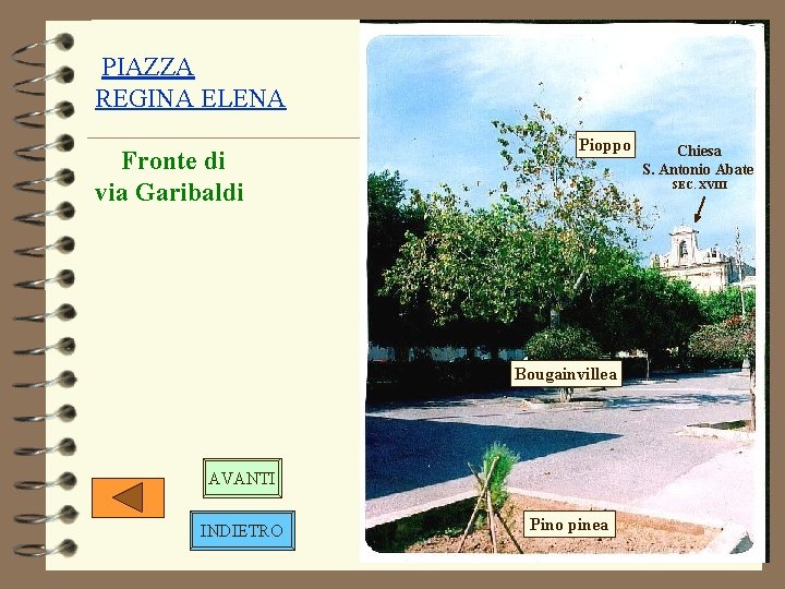 PIAZZA REGINA ELENA Fronte di via Garibaldi Pioppo SEC. XVIII Bougainvillea AVANTI INDIETRO Chiesa PIAZZA REGINA ELENA Fronte di via Garibaldi Pioppo SEC. XVIII Bougainvillea AVANTI INDIETRO Chiesa