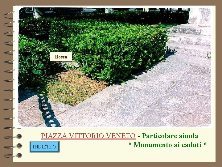 Bosso PIAZZA VITTORIO VENETO - Particolare aiuola * Monumento ai caduti * INDIETRO 