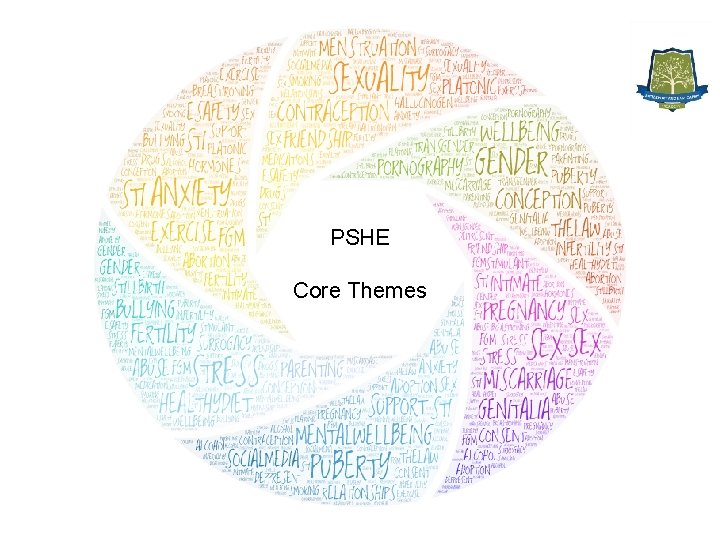 PSHE Core Themes 