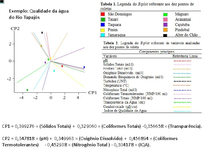 Exemplo: Qualidade da água do Rio Tapajós CP 1 = 0, 399276 × (Sólidos