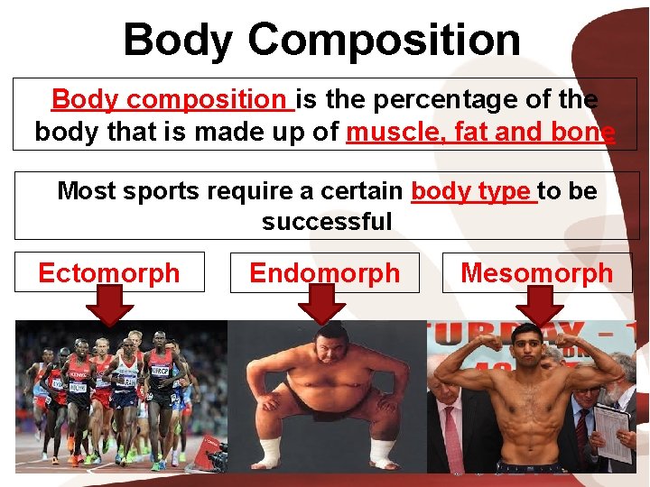 Body Composition Body composition is the percentage of the body that is made up Body Composition Body composition is the percentage of the body that is made up