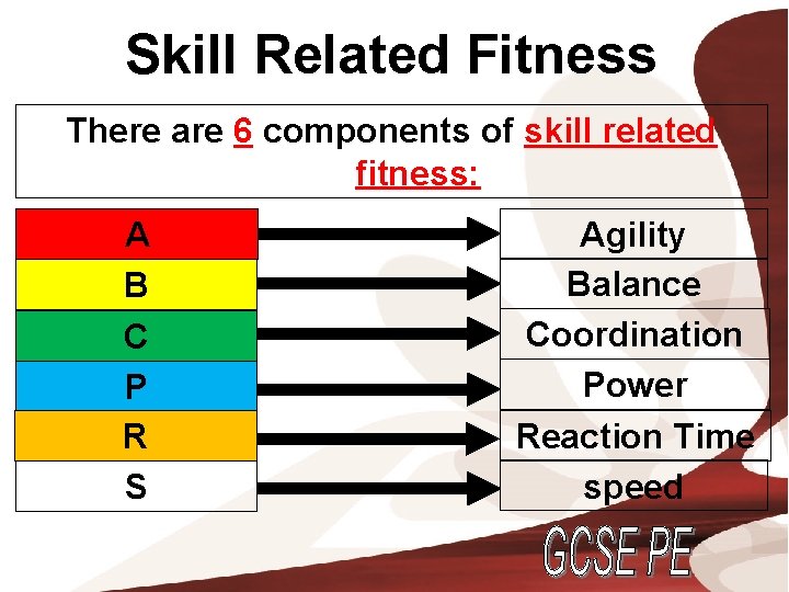 Skill Related Fitness There are 6 components of skill related fitness: A B C Skill Related Fitness There are 6 components of skill related fitness: A B C