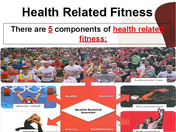 Health Related Fitness There are 5 components of health related fitness: 