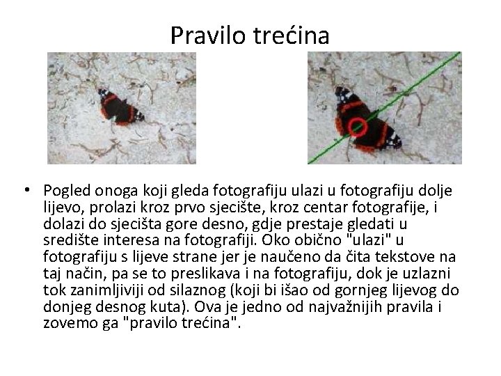 Pravilo trećina • Pogled onoga koji gleda fotografiju ulazi u fotografiju dolje lijevo, prolazi