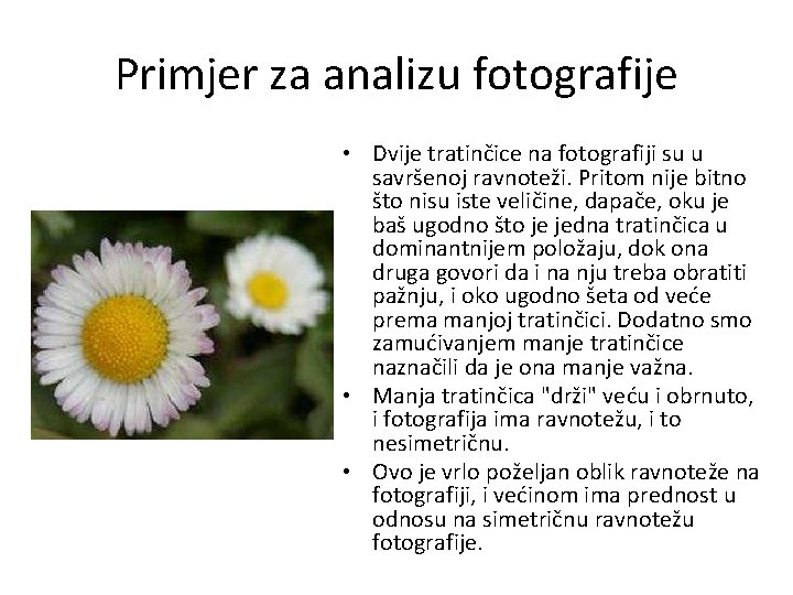 Primjer za analizu fotografije • Dvije tratinčice na fotografiji su u savršenoj ravnoteži. Pritom