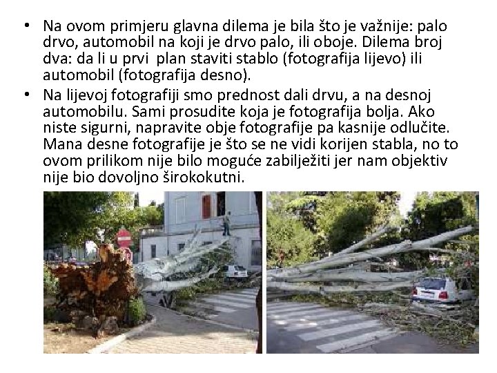  • Na ovom primjeru glavna dilema je bila što je važnije: palo drvo,