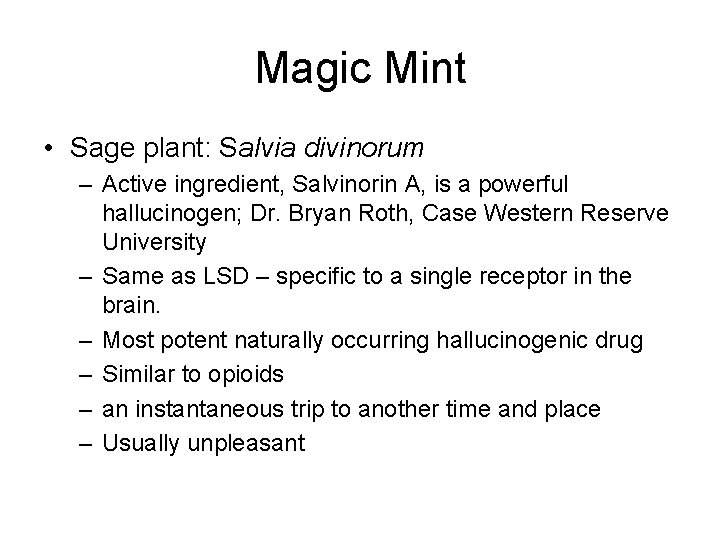 Magic Mint • Sage plant: Salvia divinorum – Active ingredient, Salvinorin A, is a