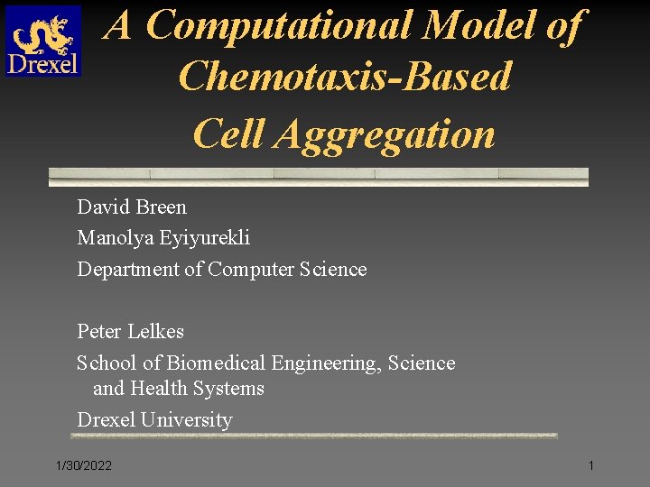 A Computational Model of Chemotaxis-Based Cell Aggregation David Breen Manolya Eyiyurekli Department of Computer