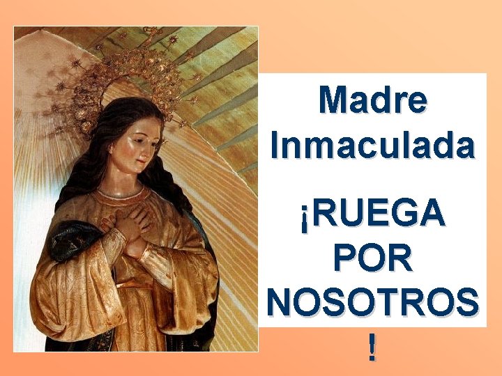 Madre Inmaculada ¡RUEGA POR NOSOTROS ! 