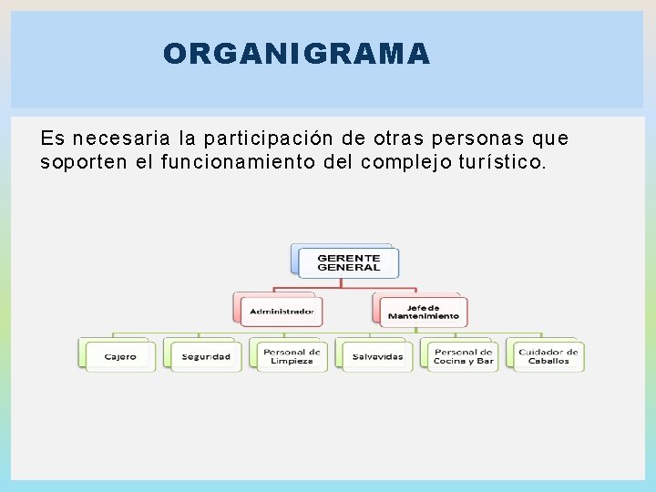 ORGANIGRAMA Es necesaria la participación de otras personas que soporten el funcionamiento del complejo