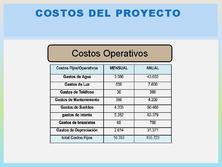 COSTOS DEL PROYECTO Costos Operativos COSTOS DEL PROYECTO Costos Operativos