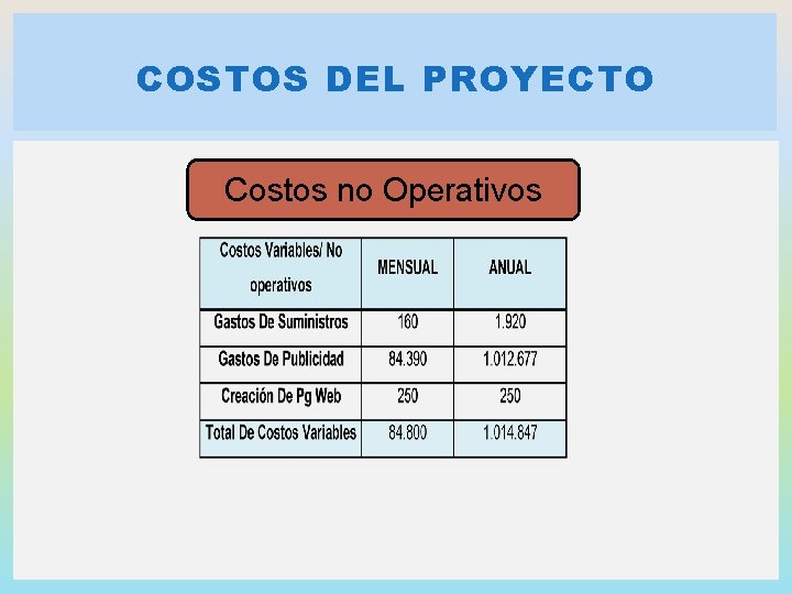 COSTOS DEL PROYECTO Costos no Operativos 