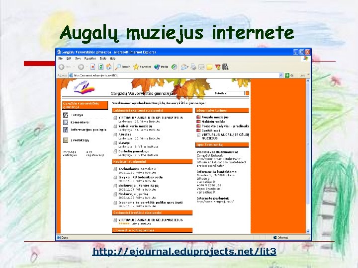 Augalų muziejus internete http: //ejournal. eduprojects. net/lit 3 