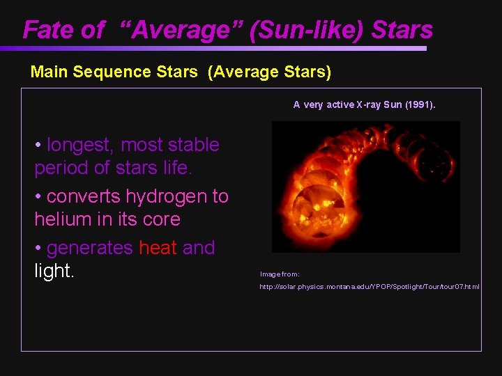 Fate of “Average” (Sun-like) Stars Main Sequence Stars (Average Stars) A very active X-ray