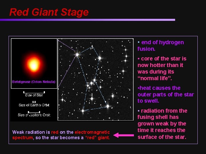 Red Giant Stage • end of hydrogen fusion. Betelgeuse (Orion Nebula) • core of
