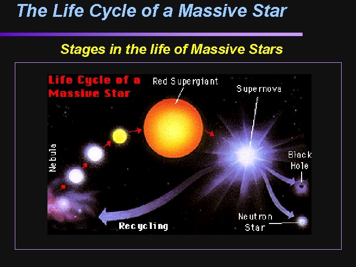 The Life Cycle of a Massive Star Stages in the life of Massive Stars