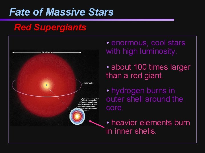 Fate of Massive Stars Red Supergiants • enormous, cool stars with high luminosity. •