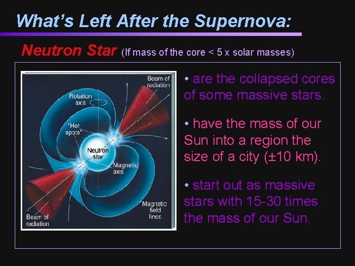 What’s Left After the Supernova: Neutron Star (If mass of the core < 5