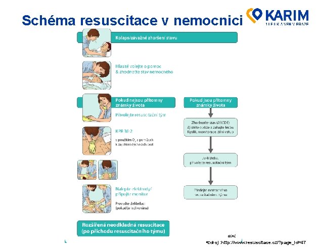 Schéma resuscitace v nemocnici §zdroj : http: //www. resuscitace. cz/? page_id=47 