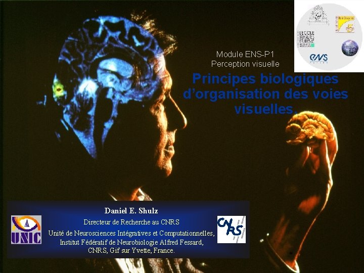 Module ENS-P 1 Perception visuelle Principes biologiques d’organisation des voies visuelles. Daniel E. Shulz