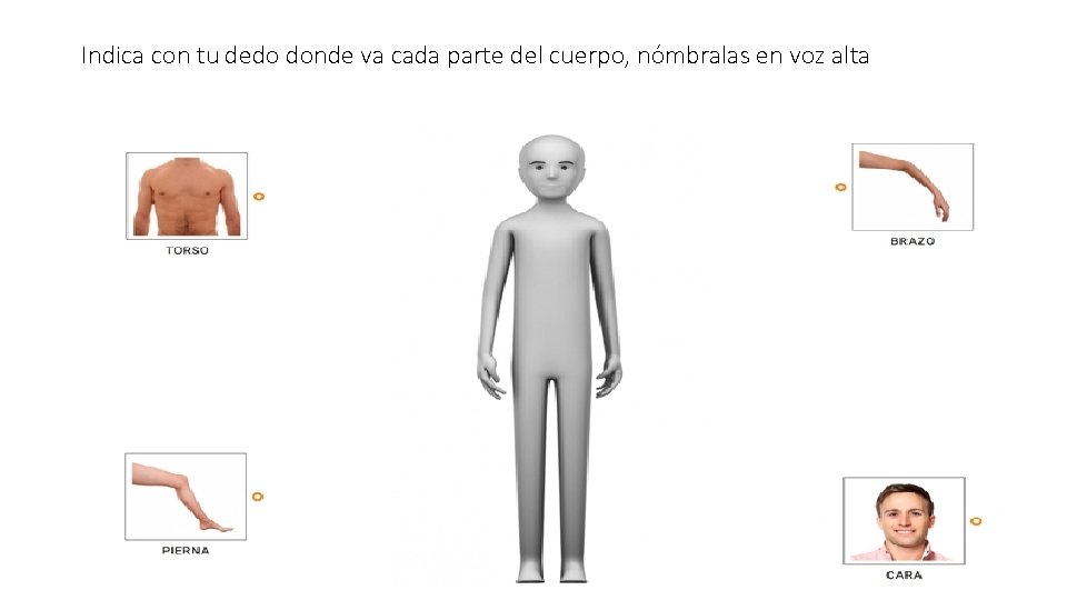 Indica con tu dedo donde va cada parte del cuerpo, nómbralas en voz alta