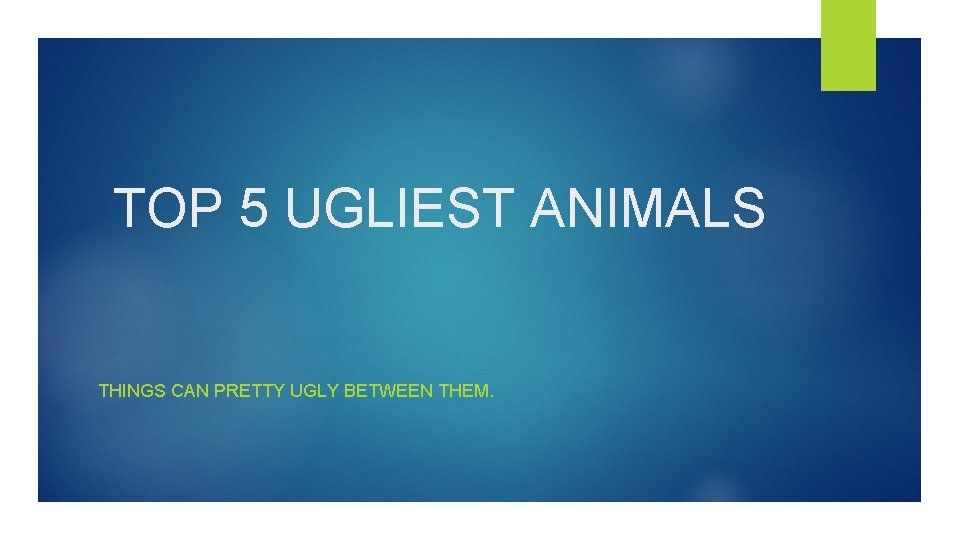 TOP 5 UGLIEST ANIMALS THINGS CAN PRETTY UGLY