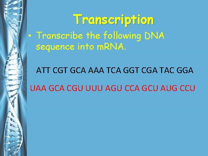 Transcription • Transcribe the following DNA sequence into m. RNA. ATT CGT GCA AAA
