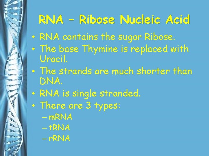 RNA – Ribose Nucleic Acid • RNA contains the sugar Ribose. • The base