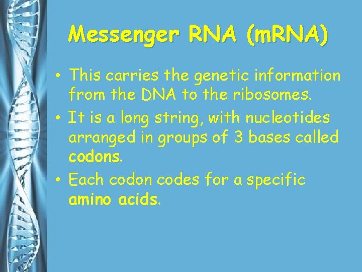 Messenger RNA (m. RNA) • This carries the genetic information from the DNA to