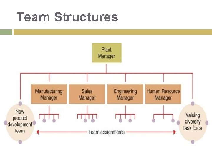 Team Structures Team Structures