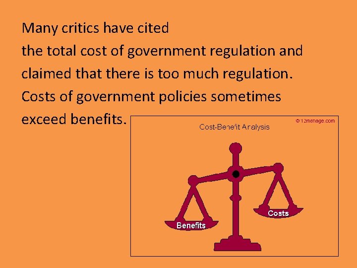 Many critics have cited the total cost of government regulation and claimed that there