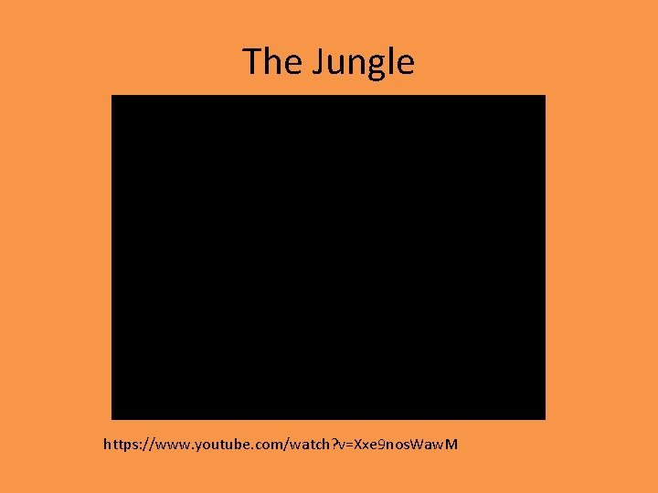 The Jungle https: //www. youtube. com/watch? v=Xxe 9 nos. Waw. M 