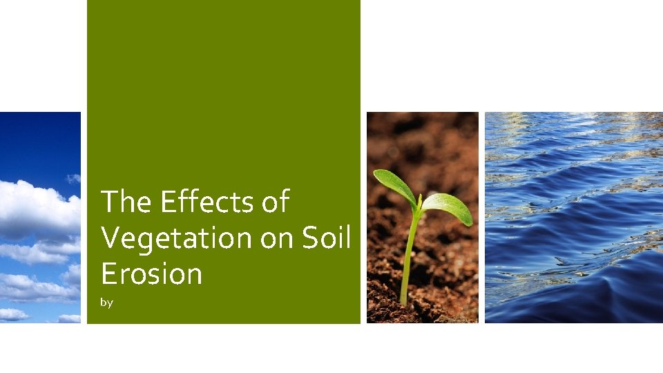 The Effects of Vegetation on Soil Erosion by 