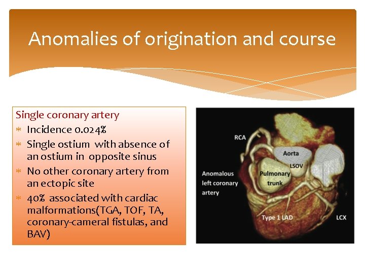 Anomalies of origination and course Single coronary artery Incidence 0. 024% Single ostium with