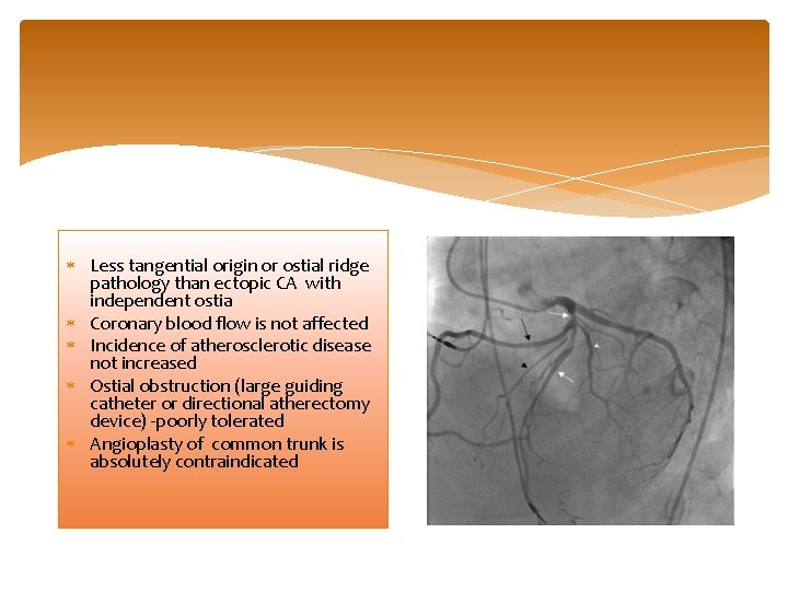  Less tangential origin or ostial ridge pathology than ectopic CA with independent ostia