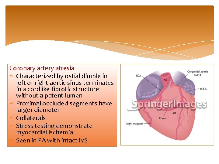 Coronary artery atresia Characterized by ostial dimple in left or right aortic sinus terminates
