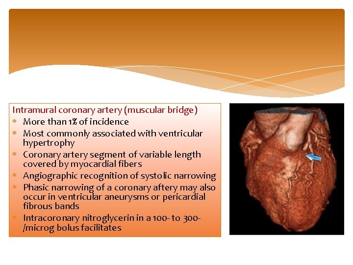 Intramural coronary artery (muscular bridge) More than 1% of incidence Most commonly associated with