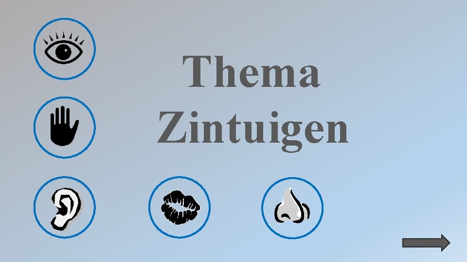 Thema Zintuigen 