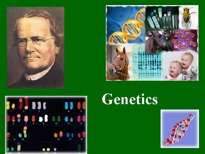 Genetics 