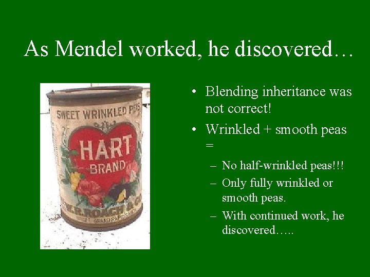 As Mendel worked, he discovered… • Blending inheritance was not correct! • Wrinkled +