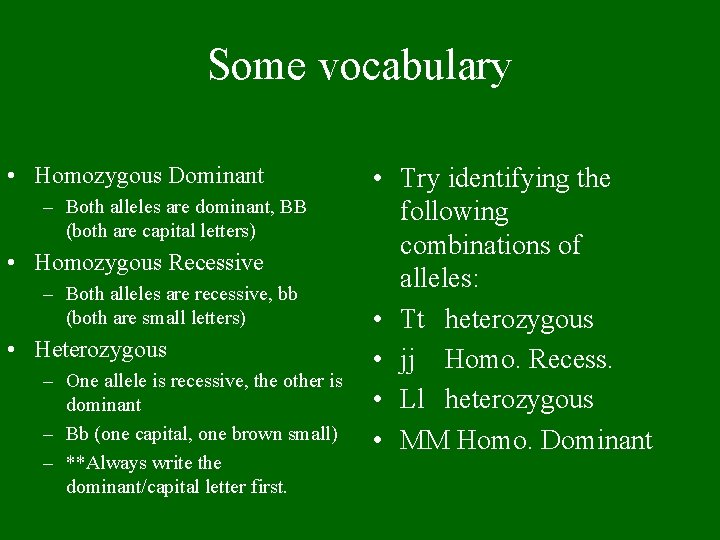 Some vocabulary • Homozygous Dominant – Both alleles are dominant, BB (both are capital