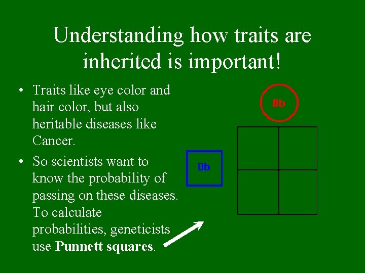 Understanding how traits are inherited is important! • Traits like eye color and hair