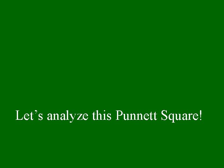 Let’s analyze this Punnett Square! 