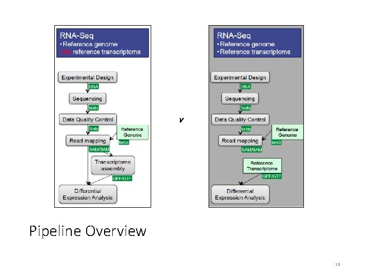 v Pipeline Overview 10 