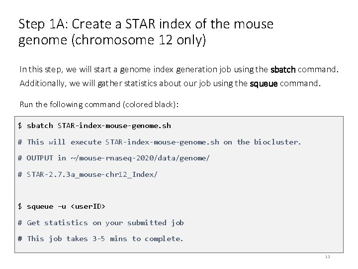 Step 1 A: Create a STAR index of the mouse genome (chromosome 12 only)