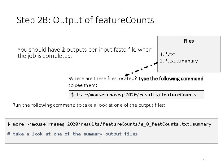 Step 2 B: Output of feature. Counts Files You should have 2 outputs per