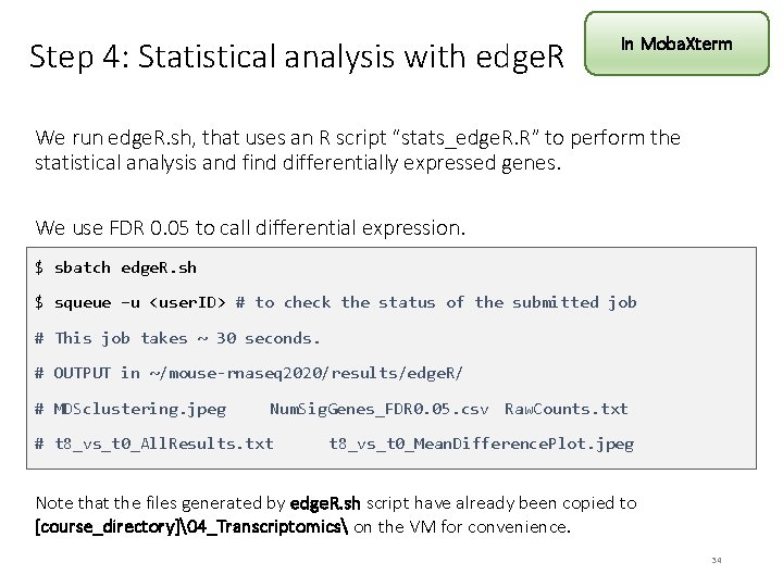 Step 4: Statistical analysis with edge. R In Moba. Xterm We run edge. R.
